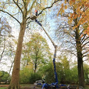 Ruthmann_BLUELIFT_SA26-baumschnitt